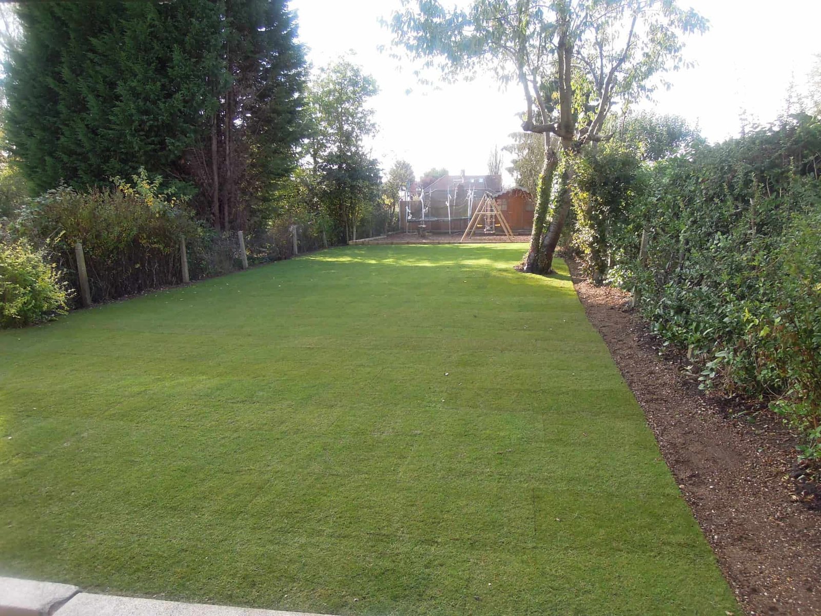 north-london-garden-turf-scaled